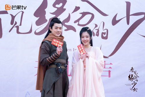  神豪丐婿，热播短剧免费全集，一场财富与爱情的传奇--第1张