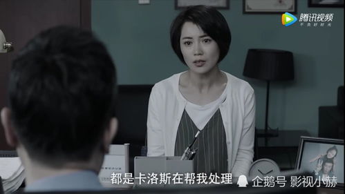 ，退婚我把冰山总裁祸害哭了，热播短剧免费全集解析--第1张