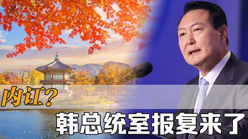  陆总夫人又来报复您了，免费全集--第1张