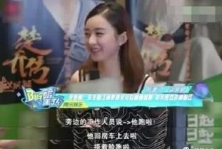  热播短剧容少夫人又又又逃了免费全集--第1张