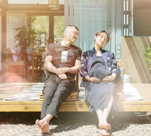  热播短剧婚礼作废美女总裁她不嫁了免费全集，逆袭美女总裁的爱情抉择--第1张