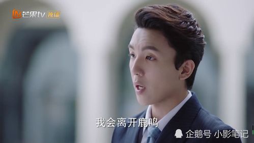  千亿弃少归来，热播短剧免费全集，揭秘豪门恩怨与爱情纠葛，豪门恩怨爱情纠葛，千亿弃少归来，短剧免费全集热播--第1张