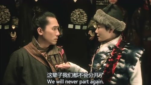  驸马无双，免费全集，一部热播短剧的魅力，驸马无双，免费全集短剧的魅力--第1张