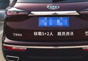 网上车管所查询车主姓名_网上车管所查询车主姓名电话--第1张