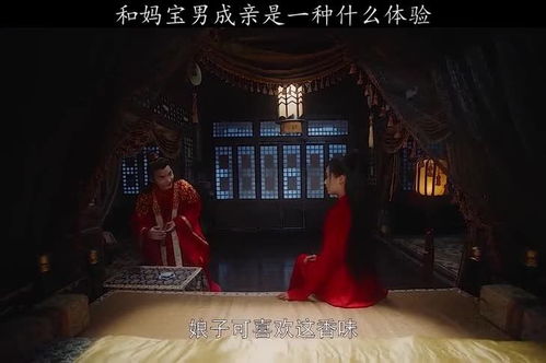  桑总别虐了，夫人她要嫁人了！免费全集，桑总别虐了，夫人她要嫁人了！完结版--第1张