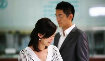  热播短剧冷面律师娇妻难追免费全集——揭示婚姻中的甜蜜与挑战--第1张