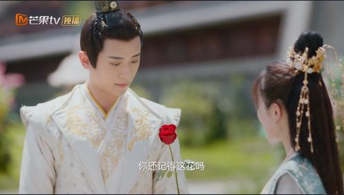  热播短剧奉旨追妃免费全集，热播短剧奉旨追妃免费全集，宫廷爱情故事引爆全网--第1张