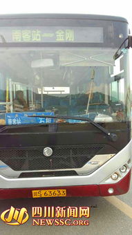 b1驾驶证能开什么车型_a2证可以开什么车--第1张