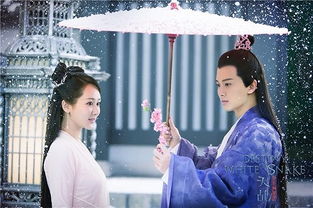  热播短剧龍临天下免费全集——一部引人入胜的古装传奇大戏，古装传奇短剧，免费全集，龙临天下，引人入胜--第1张