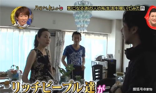  富婆的专属外卖员，爱不释手免费全集——一部热播短剧的魅力解读--第1张