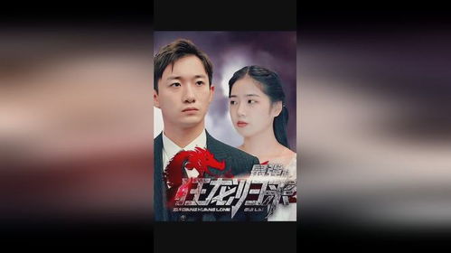  南海狂龙，一部热播短剧的魅力全集，南海狂龙，短剧热播魅力全集--第1张