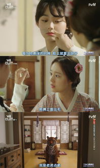  现代虐渣攻略，热播短剧女将军全集免费观看--第1张