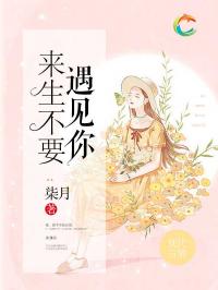  热播短剧叶总来生不愿再相见免费全集--第1张