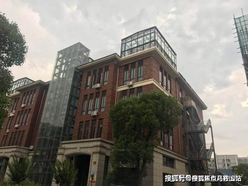  万物价值免费全集，热播短剧的魅力解读，短剧热播背后的魅力，免费全集的万物价值解读--第1张