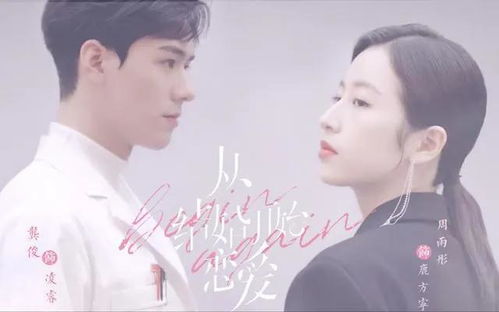  从邂逅女总裁开始——一部热播短剧长篇免费全集--第1张