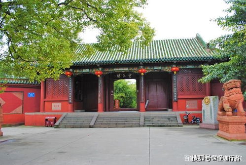  她撩拨心弦，热播短剧免费全集--第1张