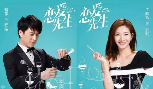  热播短剧新版傅少的闪婚甜妻免费全集——甜蜜爱情，瞬间绽放！--第1张