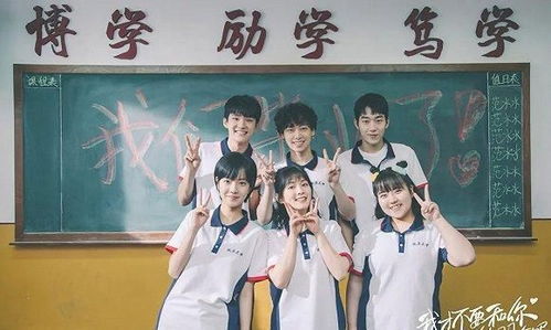  短剧傅先生的娇妻不好追全集观看——一场甜蜜的爱情追逐--第1张