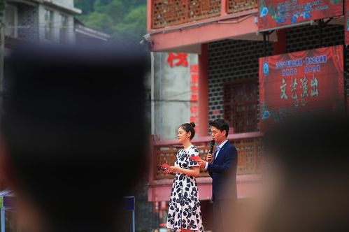  短剧鱼白听晚舟徐兰迪全集，一场视觉与听觉的盛宴--第1张