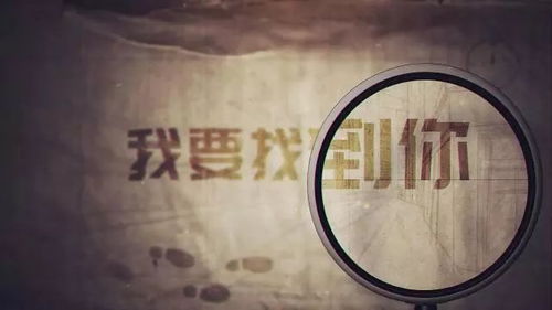  短剧我要找到你全集观看--第1张