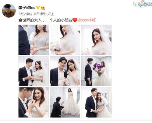 短剧闪婚难离全集观看，揭秘甜蜜爱情背后的真实婚姻--第1张