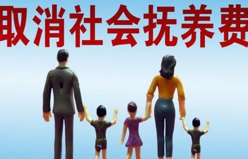  ，拽妈携崽归来一胎三宝--第1张