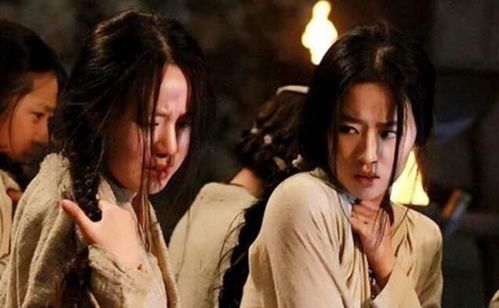  棣棠花与宋徽宗，一段历史的美丽邂逅，棣棠花与宋徽宗，历史的美丽邂逅之花--第1张