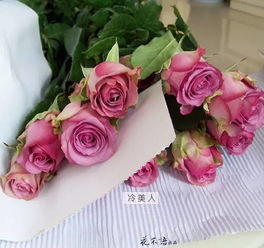  花店常用鲜花品种，花店常用鲜花品种，玫瑰、康乃馨、百合、郁金香、满天星等--第1张