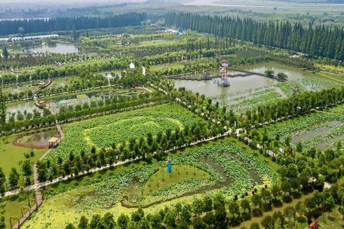  中国花卉博览园，探寻花卉之美，领略自然之韵--第1张