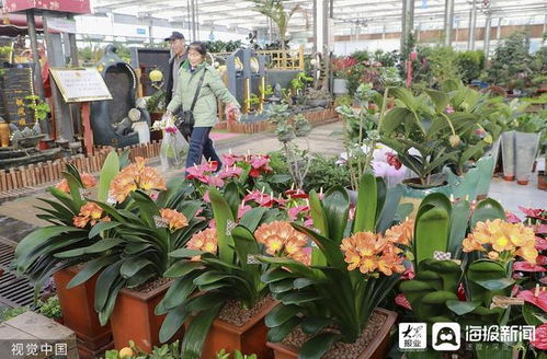  临沂鲜花插花批发市场在哪里--第1张