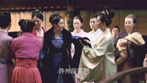  短剧沈小姐，你被逐出家门全集观看--第1张