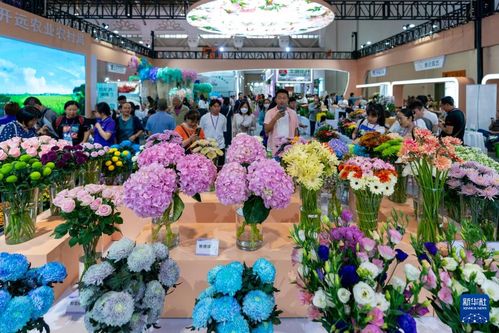  中国花卉报直播，花卉产业的数字化新篇章，中国花卉报直播，花卉产业数字化新篇章的探索与实践--第1张