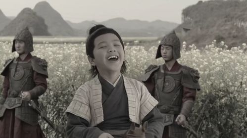  短剧将门虎子浩子全集观看，虎子传奇，将门虎子全集--第1张