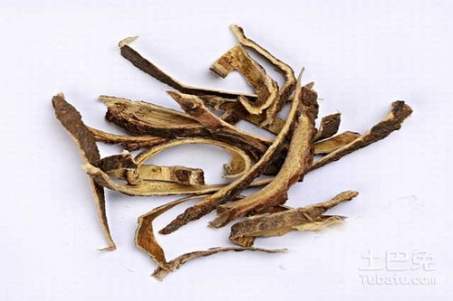  合欢皮的功效与作用--第1张