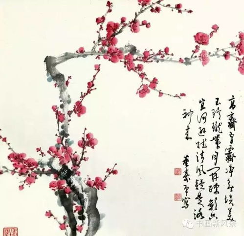  梅花的诗——诗中的梅花之美--第1张