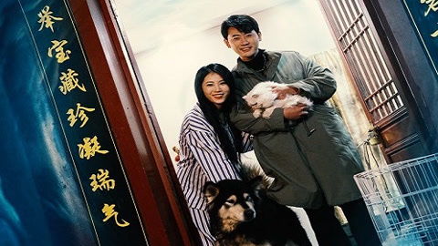  短剧绝世杂货铺全集观看，绝世杂货铺全集在线观看，短剧中的奇幻杂货铺世界--第1张