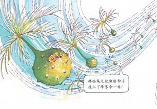  神奇的种子传播方式，神奇的种子随风飘荡的传播方式--第1张