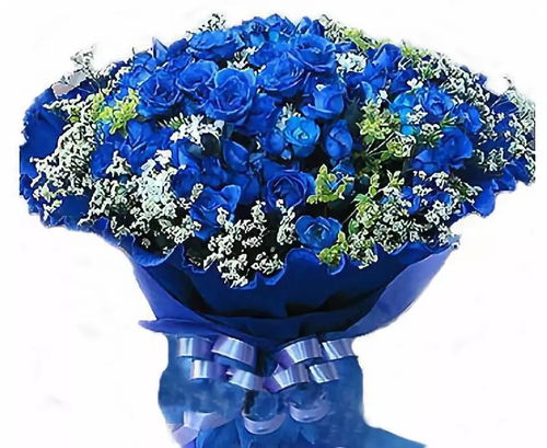  蓝色妖姬，花语之神秘与浪漫的交织，蓝色妖姬的花语与浪漫的交织--第1张
