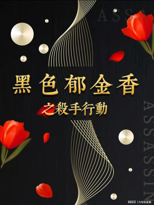  黑色郁金香，百变大侦探--第1张