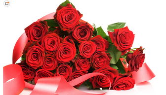  11朵和19朵玫瑰花语的奥秘，11朵和19朵玫瑰花语的奥秘，爱情与承诺--第1张
