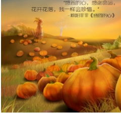  送女友的鲜花卡片寄语--第1张