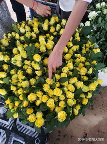  鲜花批发怎么找货源，鲜花批发找货源方法，实地考察鲜花市场--第1张