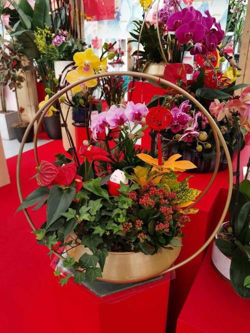  北京花卉交易中心，花卉市场的繁荣与未来--第1张
