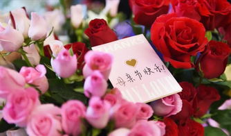  母亲节鲜花预订说说，母亲节鲜花预订，献给最爱的她--第1张
