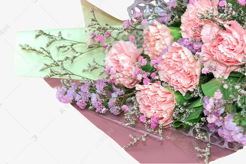  康乃馨鲜花图片大全，康乃馨鲜花图片大全，不同颜色、形态、场景的康乃馨展示--第1张