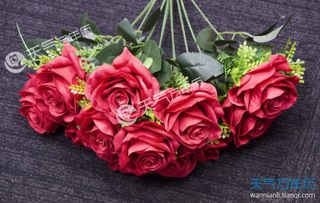  送9朵玫瑰花是什么意思，送9朵玫瑰花，爱的承诺--第1张