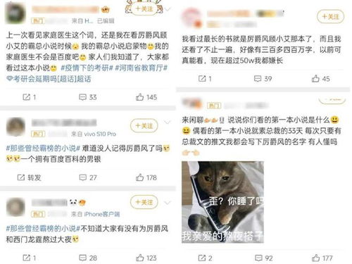  短剧厉总夫人她罪不至死全集观看--第1张