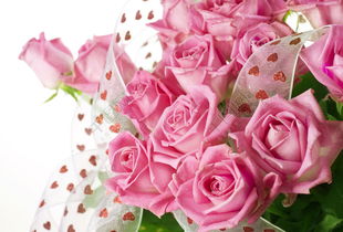  玫瑰花的颜色与寓意——送各种颜色玫瑰花的寓意解析，玫瑰花的颜色与寓意，不同颜色玫瑰花的寓意解析--第1张