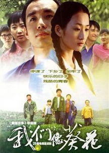  无忧花开电视剧，一部描绘人生真谛的佳作--第1张
