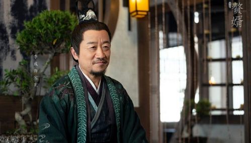 赘婿大结局李锋是谁杀的_赘婿中李冈是谁--第1张
